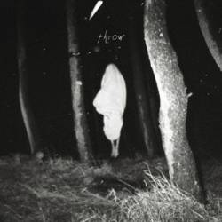 Flood Of Red : Throw